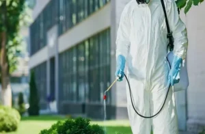 مكافحة الحشرات