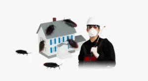 مكافحة الذباب والصراصير