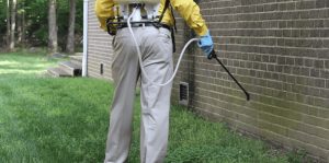 شركة رش مبيدات كلباء