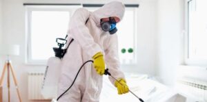 افضل شركة مكافحة حشرات