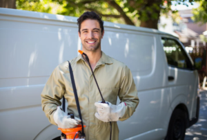 شركات مكافحة حشرات عجمان