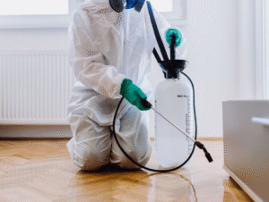 شركة مكافحة الحشرات عجمان