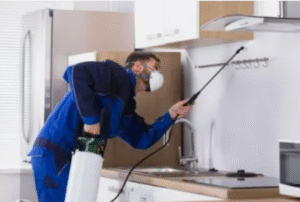 شركات رش مبيدات بعجمان