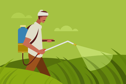 شركات رش مبيدات عجمان