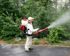 شركة رش مبيدات بعجمان