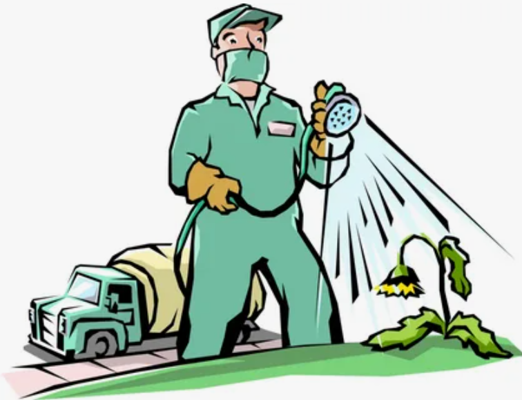 شركة رش مبيدات عجمان