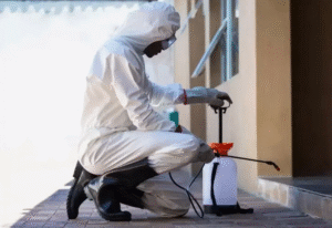 شركات رش حشرات بعجمان