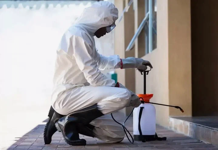 شركات رش حشرات بعجمان