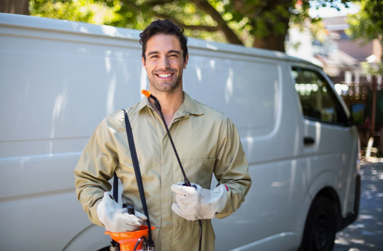 شركات رش حشرات عجمان