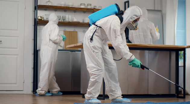 شركة رش حشرات بعجمان