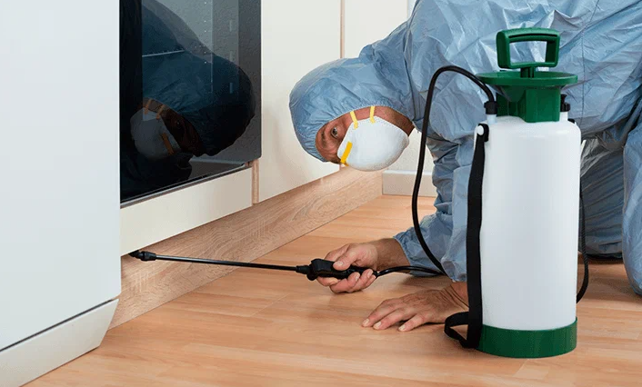 شركة رش حشرات عجمان