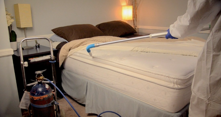 شركات رش بق الفراش بعجمان