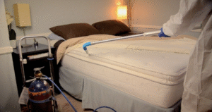 شركات رش بق الفراش عجمان