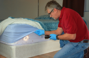 شركات رش بق الفراش في عجمان