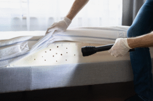 شركات رش بق الفراش في عجمان