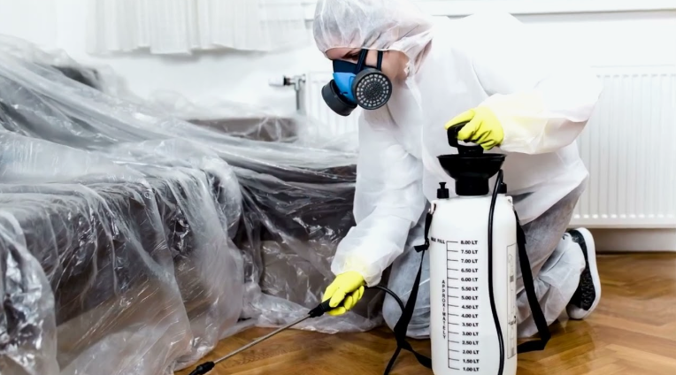 شركات مكافحة بق الفراش عجمان